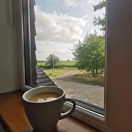 Lavender - Modern In York Copmanthorpe