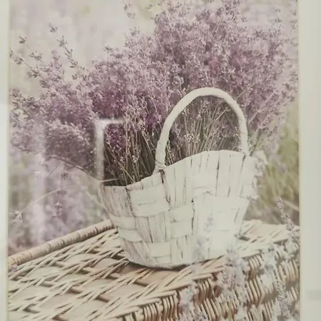 Lavender - Modern In York Apartamento *