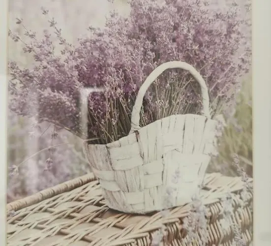 Lavender - Modern In York, Near Racecourse Appartement *