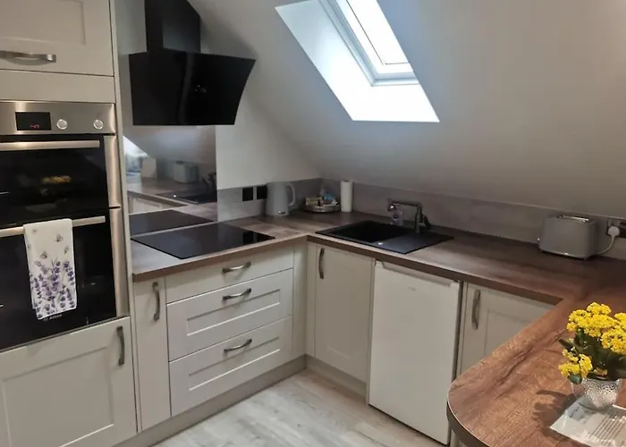 Lavender - Modern In York, Near Racecourse